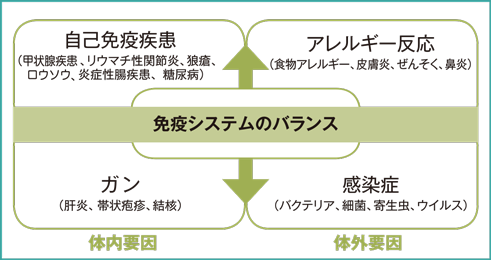 CBDは免疫システムに働きかけます