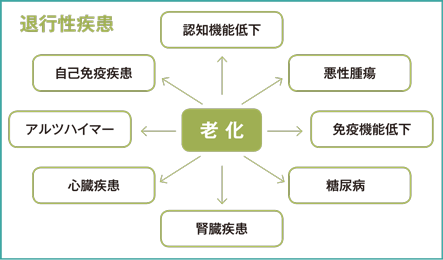 CBDは老化・退行性疾患に働きかけます