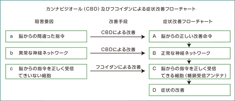 特許出願概要図